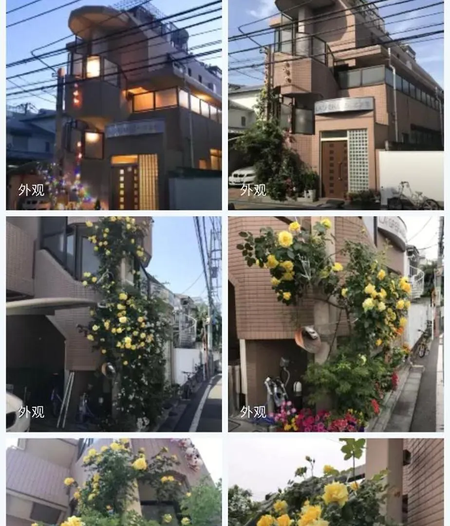 東京の港灣-Tokyo Harbor -28 Square Meter King Size Garden Room Apartment