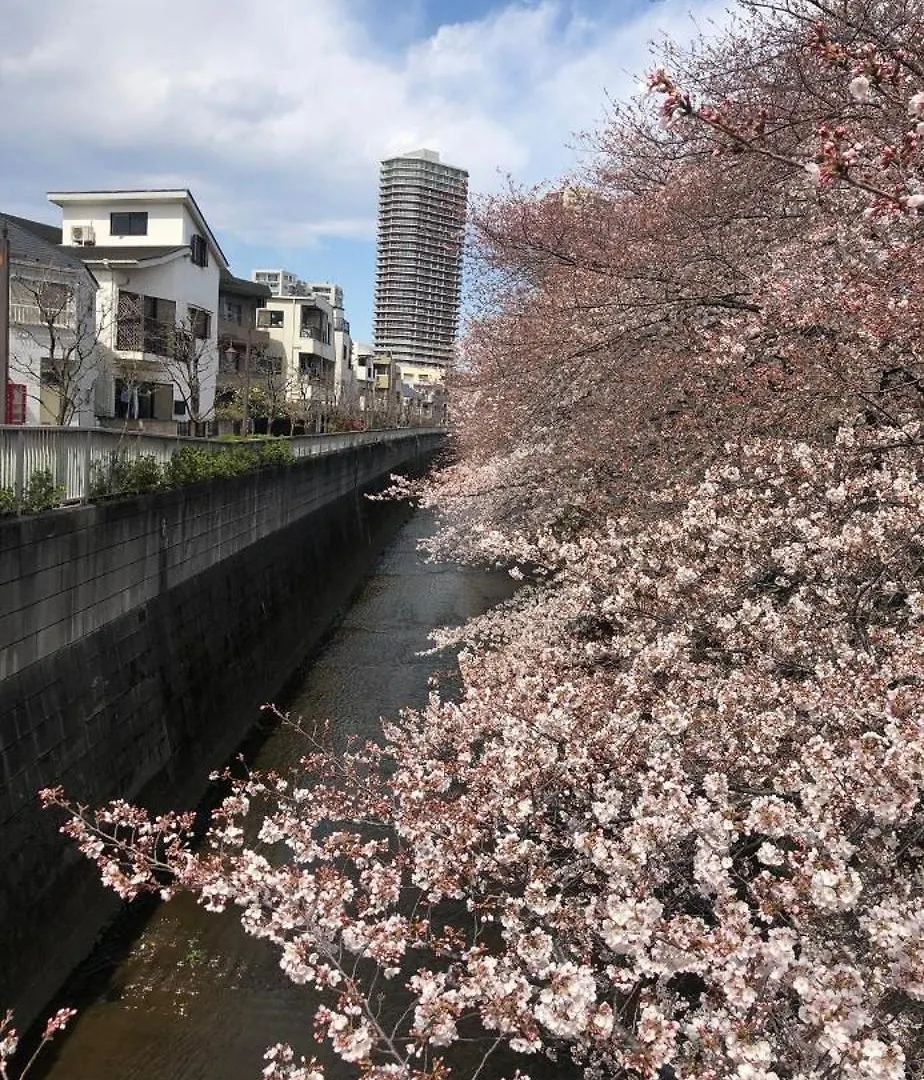 東京の港灣-Tokyo Harbor -28 Square Meter King Size Garden Room Japan