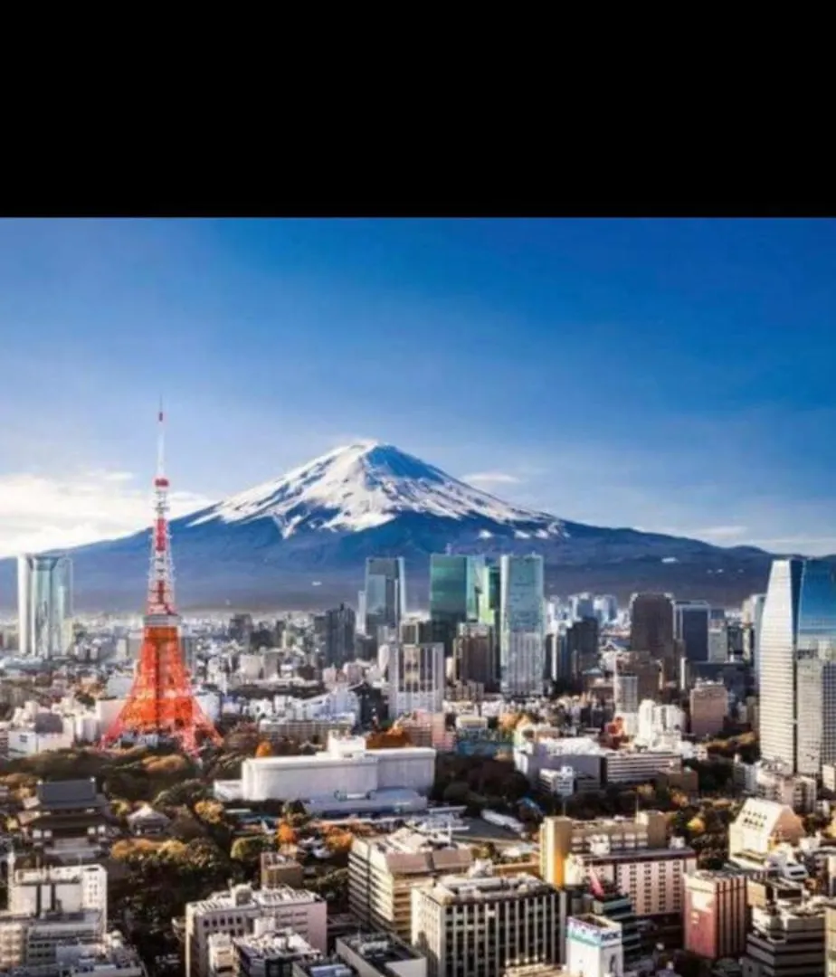 東京の港灣-Tokyo Harbor -28 Square Meter King Size Garden Room Apartment Tokyo