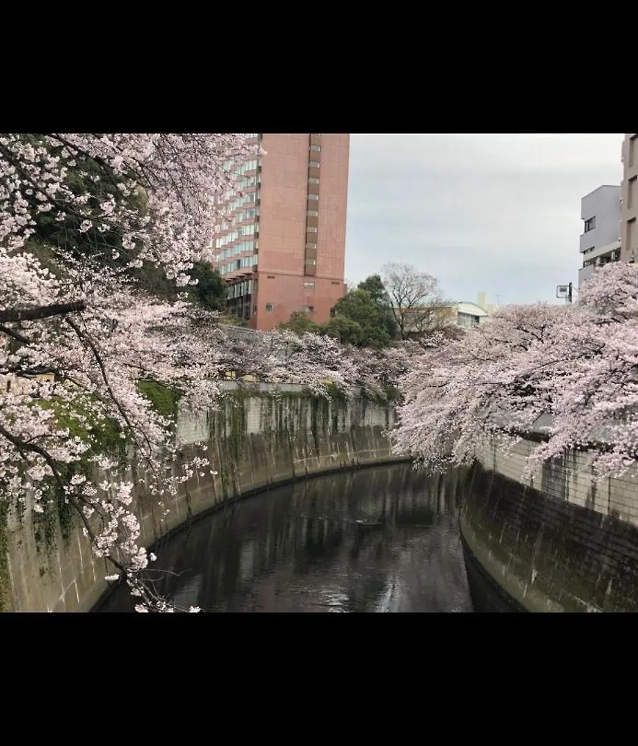 東京の港灣-Tokyo Harbor -28 Square Meter King Size Garden Room Apartment
